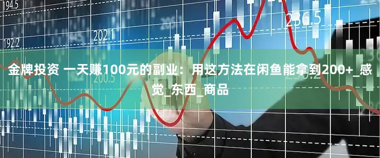 金牌投资 一天赚100元的副业：用这方法在闲鱼能拿到200+_感觉_东西_商品